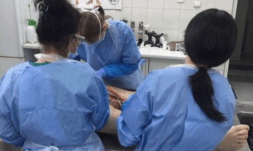 kurs Technika sekcji zwłok